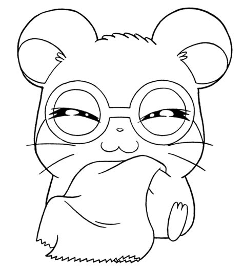 While the children are coloring the preschool printables below, have them name the color and the item. Cute Hamster Coloring Pages - Coloring Home