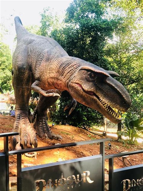 Daftar harga tiket bali zoo park 2021 (zoo admission). Dinosaur Encounter Tarikan Terbaru Di Zoo Melaka, Tawaran ...
