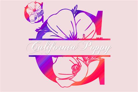 California Poppy Split Font By WADLEN Creative Fabrica