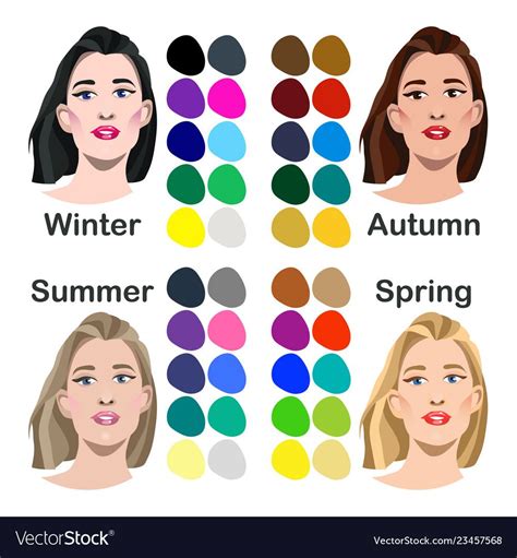 Seasonal Color Analysis Royalty Free Vector Image Colors For Skin
