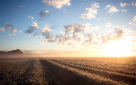 Field Morning Landscape Sunrise Fog Wallpapers Hd Desktop And