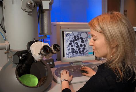 Applications Of Electron Microscope