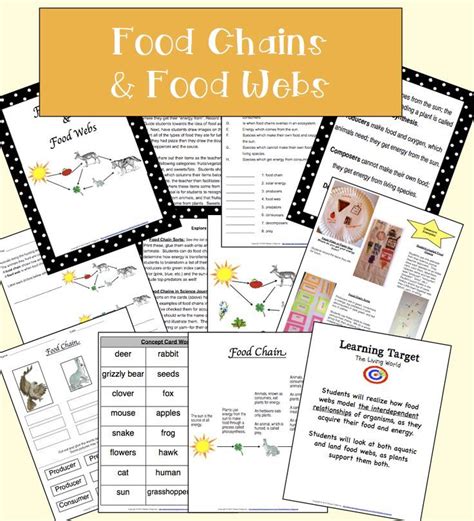 FOOD CHAINS & FOOD WEBS, Food Groups, Predator & Prey: Print & Distance