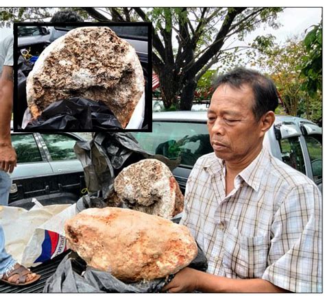 Tak heran, harganya miliaran rupiah. Lelaki Nelayan Menemui Batu Ambergris Paling Berat Dalam ...