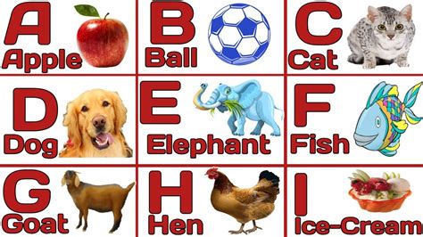 A For Apple B For Ball C For Catapple Ball Cat Dog Elephant Fish
