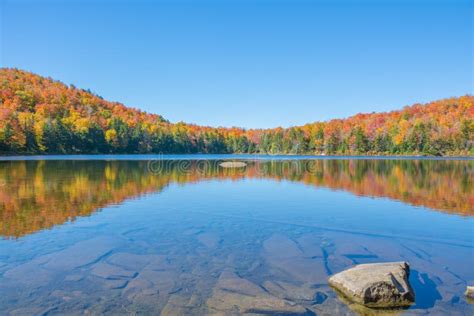 Fall Foliage Reflection On A Shallow Pond Stock Image Image Of Pond