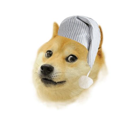 Animal Meme Png - Aviana Gilmore
