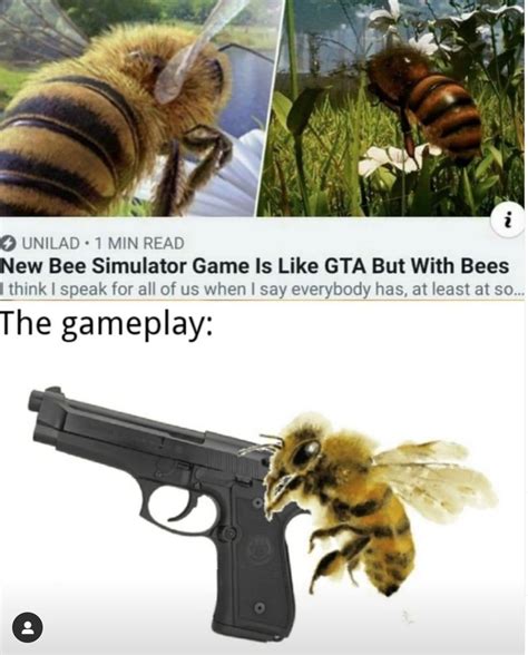 25 Best Memes About Honey Bees Honey Bees Memes Images