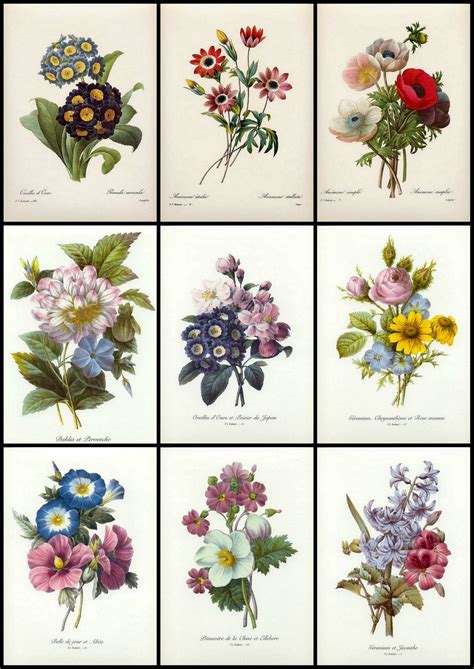 Check spelling or type a new query. Vintage flower tattoo, Flower drawing, Vintage flower prints