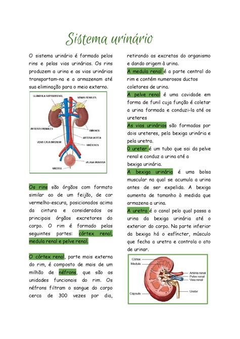 Sistema Urinario Resumo Pdf
