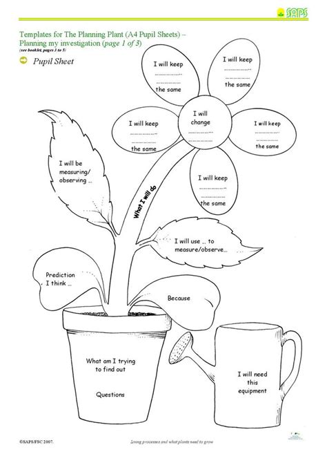 What Do Plants Need To Grow Worksheet Uploadest