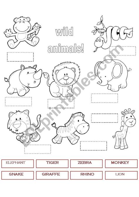 Wild Animals 1 Worksheet Animal Worksheets Animals Wild Kids Math