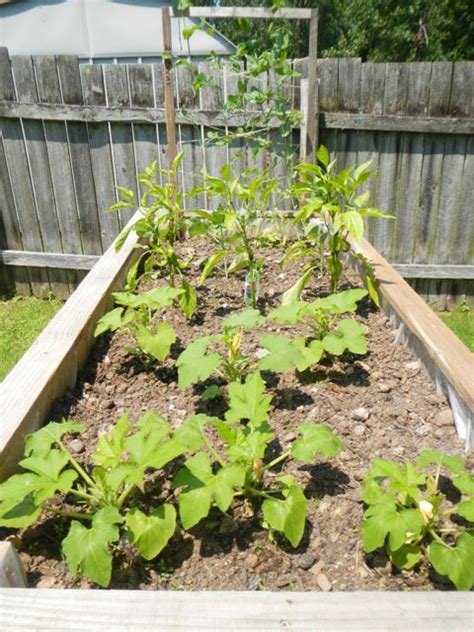 Maybe you would like to learn more about one of these? Build a Cheap Raised Bed from Pallets