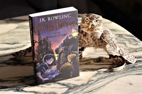 The Bookish Owl Harry Potter And The Philosophers Stone By J K