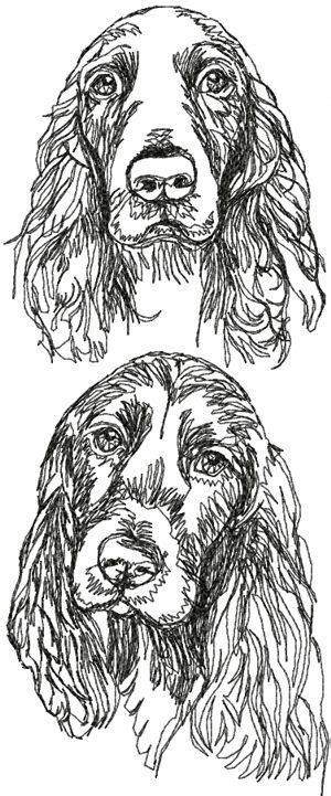 Upload a graphic or stitch file. Field Spaniel Set | Field spaniel, Drawings, Dog art