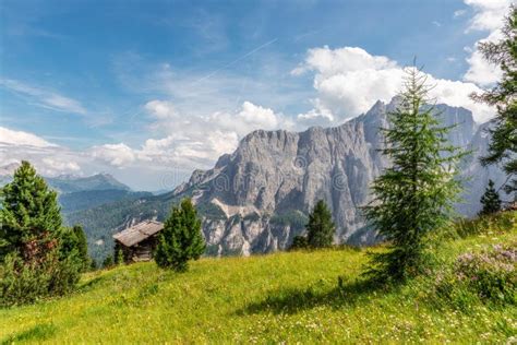 Beautiful Landscape With Alpine Meadow On A Background Of Italian