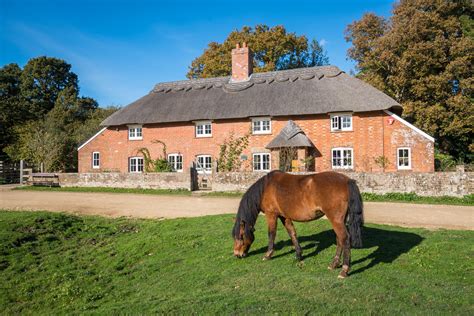 Bed And Breakfast New Forest New Forest Thatched Cottage Bandb