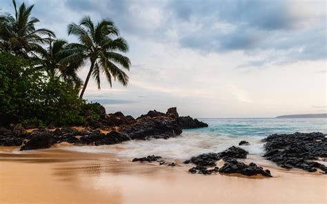 Télécharger Fonds Décran Hawaii Locéan La Plage Les Palmiers Le