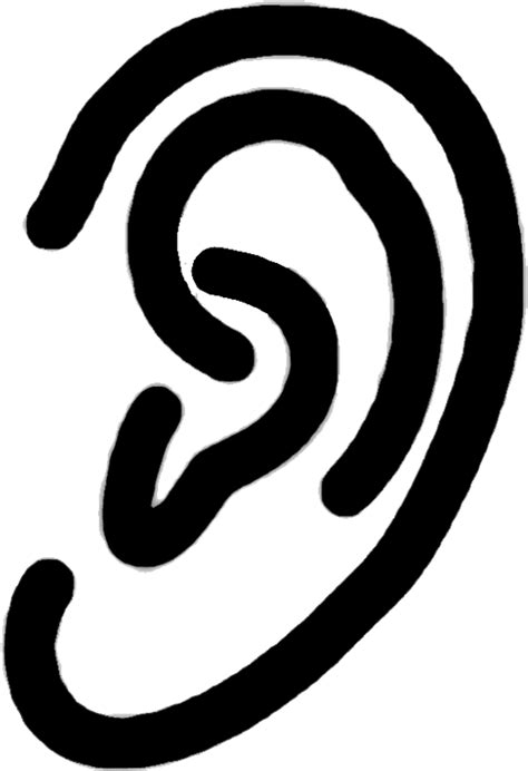 Download Human Ear Ear Png Clipart 1957197 Pinclipart