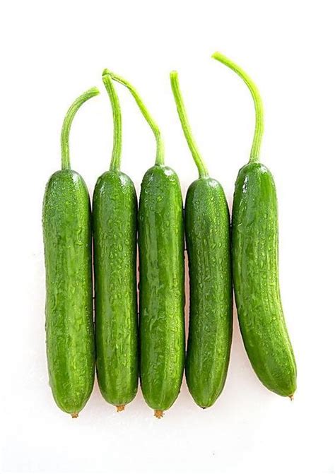 Maybe you would like to learn more about one of these? 【蔬菜種子】水果胡瓜~ 全雌性可單偽結果，生食品質極佳。 - 露天拍賣