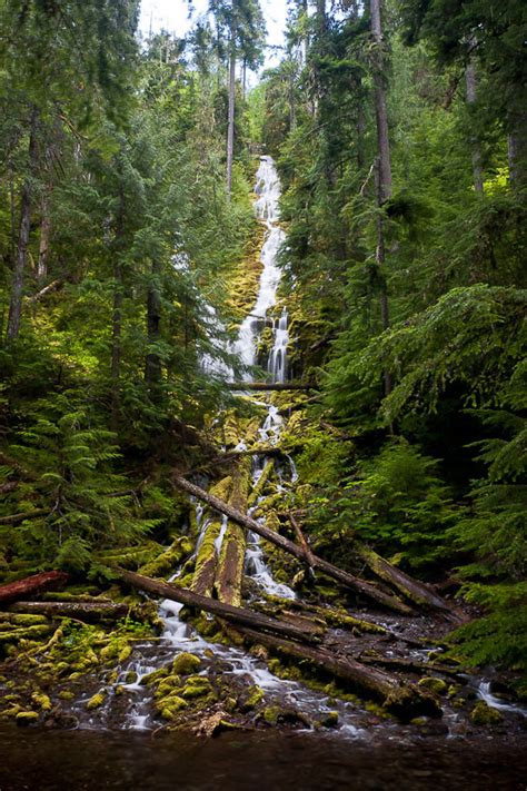 Upper Proxy Falls Lane County Oregon Northwest Waterfall Survey