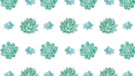 Desktop Succulents Wallpapers Wallpaper Cave