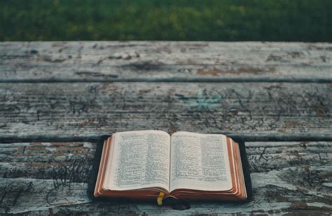 When it comes to study bibles, there a loads of different translations. Best Bible Study Apps - FaithGateway