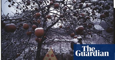Check spelling or type a new query. Chernobyl nuclear disaster - in pictures | Environment ...