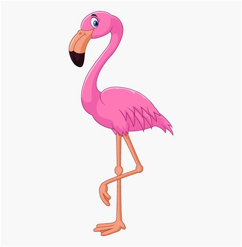 Flamingo Cartoon Clip Art Transparent Background