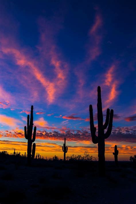 Pin by Melissa Magallanez on Arizona Beauty | Night landscape ...