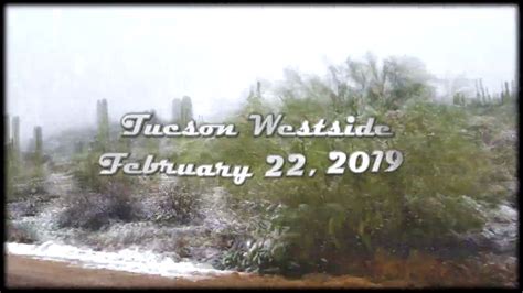 Its Snowing In Tucson Saguaro National Park February 22 2019