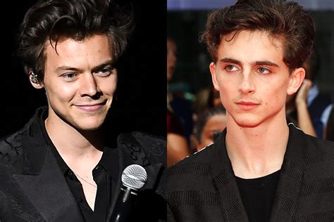 Harry Styles And Timothée Chalamets Interview And Why The Internet