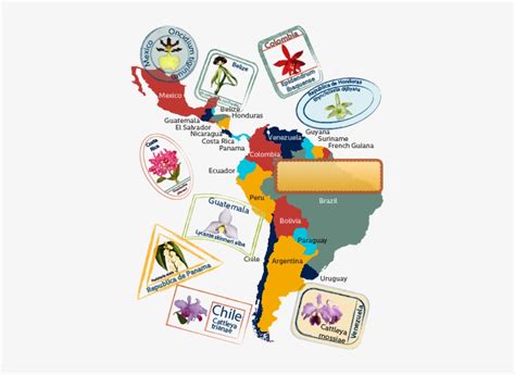 Map Of Latin America Latin America Cultural Map Transparent Png