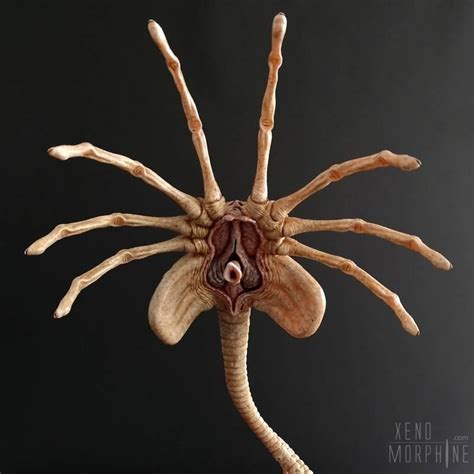 Facehugger Repaint By Michael Ludwig Xenomorphine Repainting