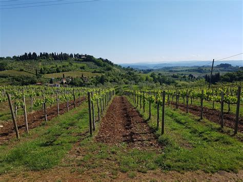Images Gratuites Paysage La Nature Ciel Vigne Vignoble Du Vin