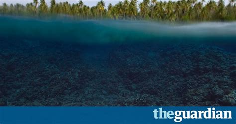 Major Coral Bleaching In Pacific May Become Worst Die Off In 20 Years