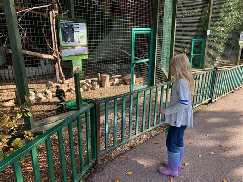 Review Of Paradise Wildlife Park In Hertfordshire Counting To Ten