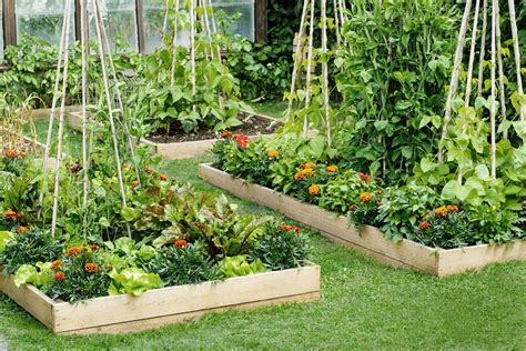 Best Raised Garden Bed For Vegetables