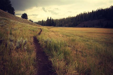 3888x2592 Pine Sky Trail Free Images Grassy Field Nature Green