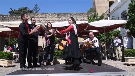 Flamenco En La Fiesta De Los Patios De Córdoba Youtube