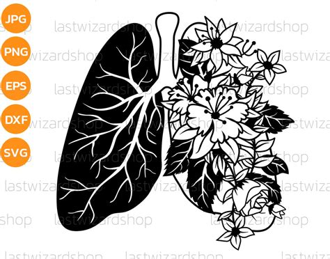 Floral Lungs Svg Human Lung Silhouette Svg Human Anatomy Etsy Uk