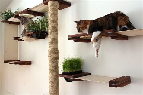 And thus, we had to brainstorm and figure out ideas to keep our furbabies mentally and physically there is nothing in the world a cat loves more than exploring, climbing and checking things out. Gardens Complex | Cat wall furniture, Cat climbing wall ...