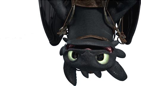 Download How To Train Your Dragon Toothless Dragon Upside Down