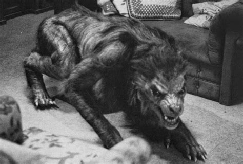 Atchley O Saurus Movies Behind The Effects An American Werewolf Transformation