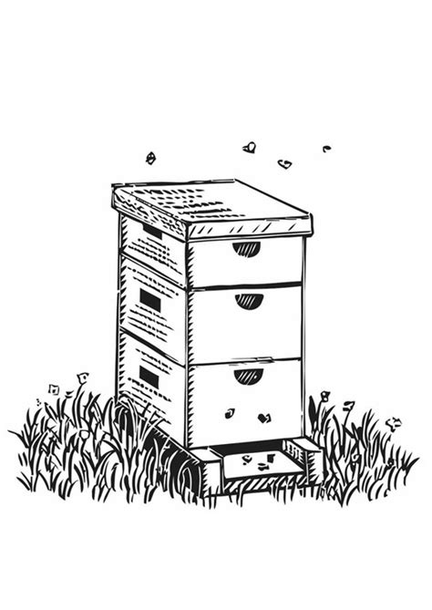 coloring page beehive  printable coloring pages img