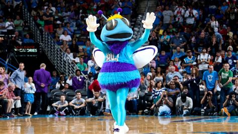 The best gifs are on giphy. Top 10 NBA Mascots | Fadeaway World