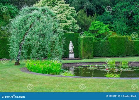 Traditional English Garden In Rainy Day Stock Photo Image Of Hedge