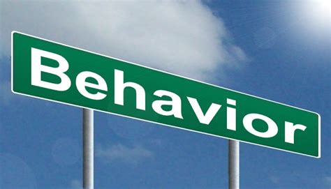 Behavior - Highway image