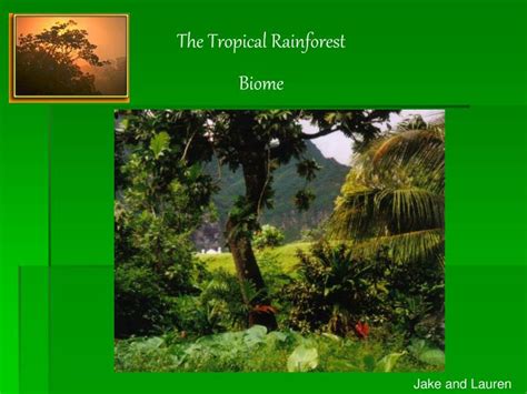 Ppt The Tropical Rainforest Biome Powerpoint Presentation Free