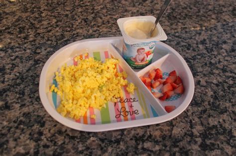 I also was faced with my girls being completely different types of eaters. The Rookie Wife: Savanna Eats {What to feed an 8 month old ...